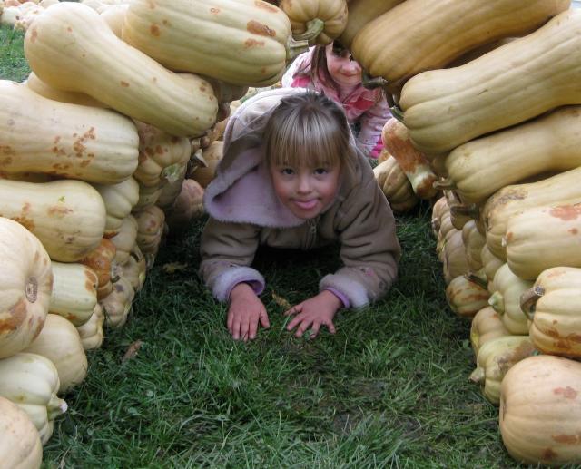 Abigail crawls through the butternut squash arch the children helped build at the 2009 dry stone wall festival