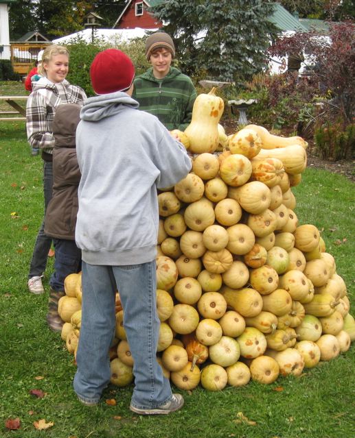 During the 2009 festival John S-R and some of the kids who came there each day built butternut squash arches and sculptures. During the 2009 festival John S-R and some of the kids who came there each day built butternut squash arches and sculptures.