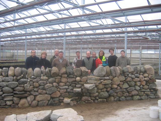 group of creative wallers and their creation