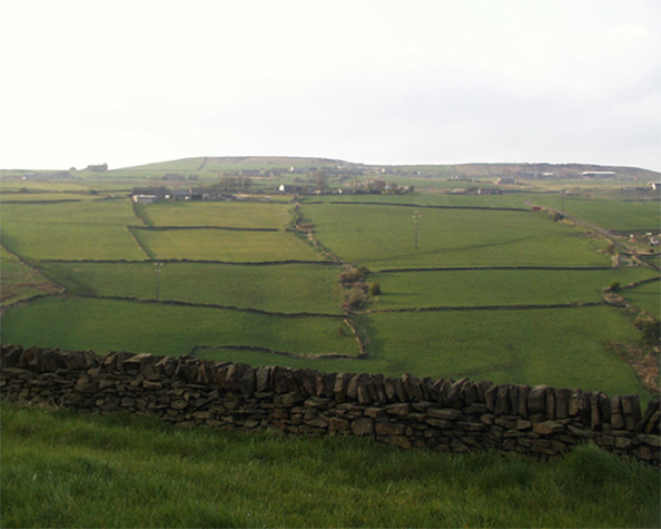 Yorkshire Yorkshire