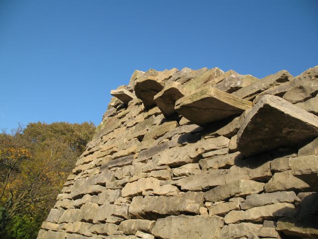 This is the second dry stone feature built at the Niagara Botanical Gardens. (see cheese wedge article) This time it was a dry stone vegetable trellis sculpture with protruding stiles for attaching strings to, for climbing vines.